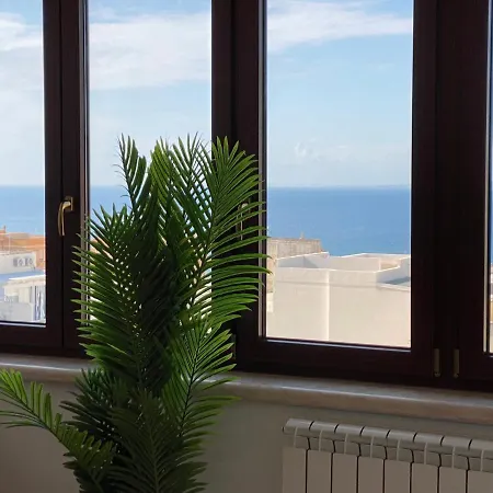 Tropical * Gallipoli